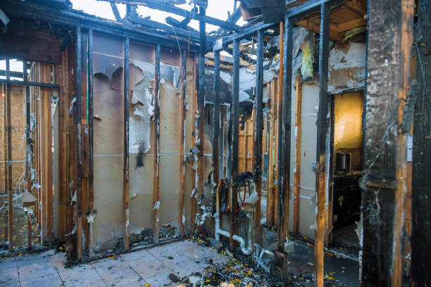 Professional Smoke Damage Removal technician working in Taft Southwest, TX